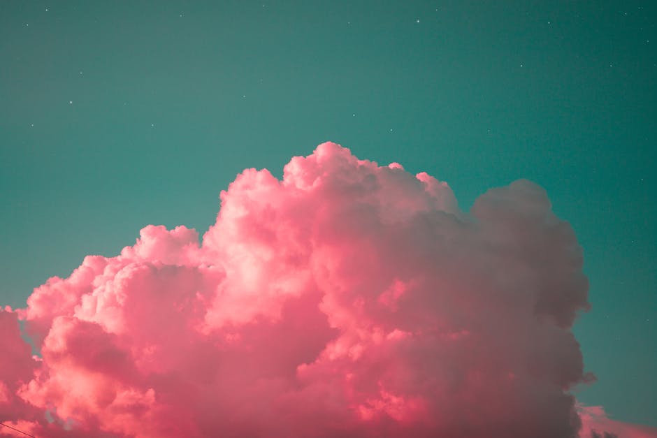 vietjet air 기내식 신청