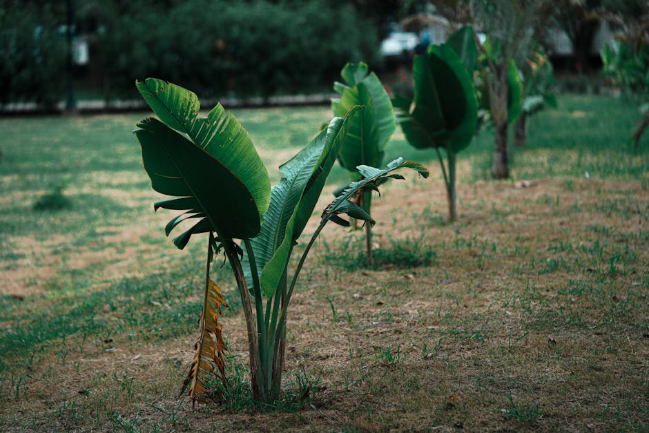 f2 비자인터뷰 신청