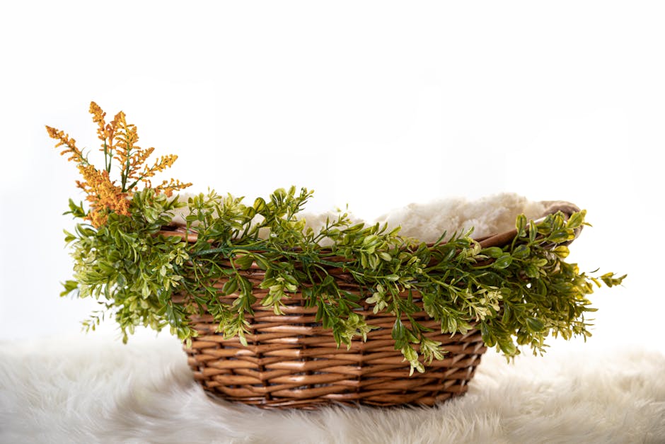 근저당 말소 신청