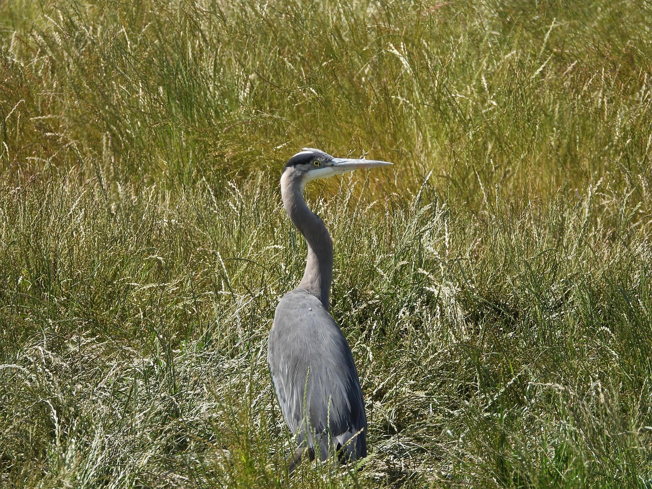 진로 공장 견학 신청