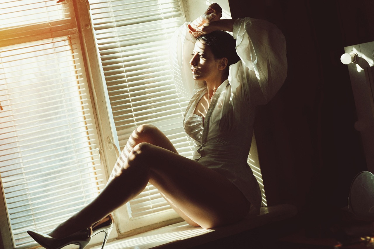 사실 조회 신청