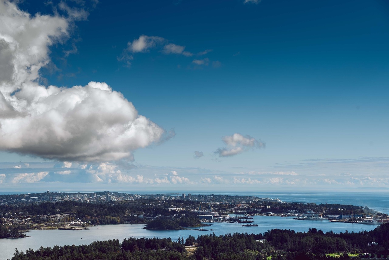 bc 카드 isp 신청